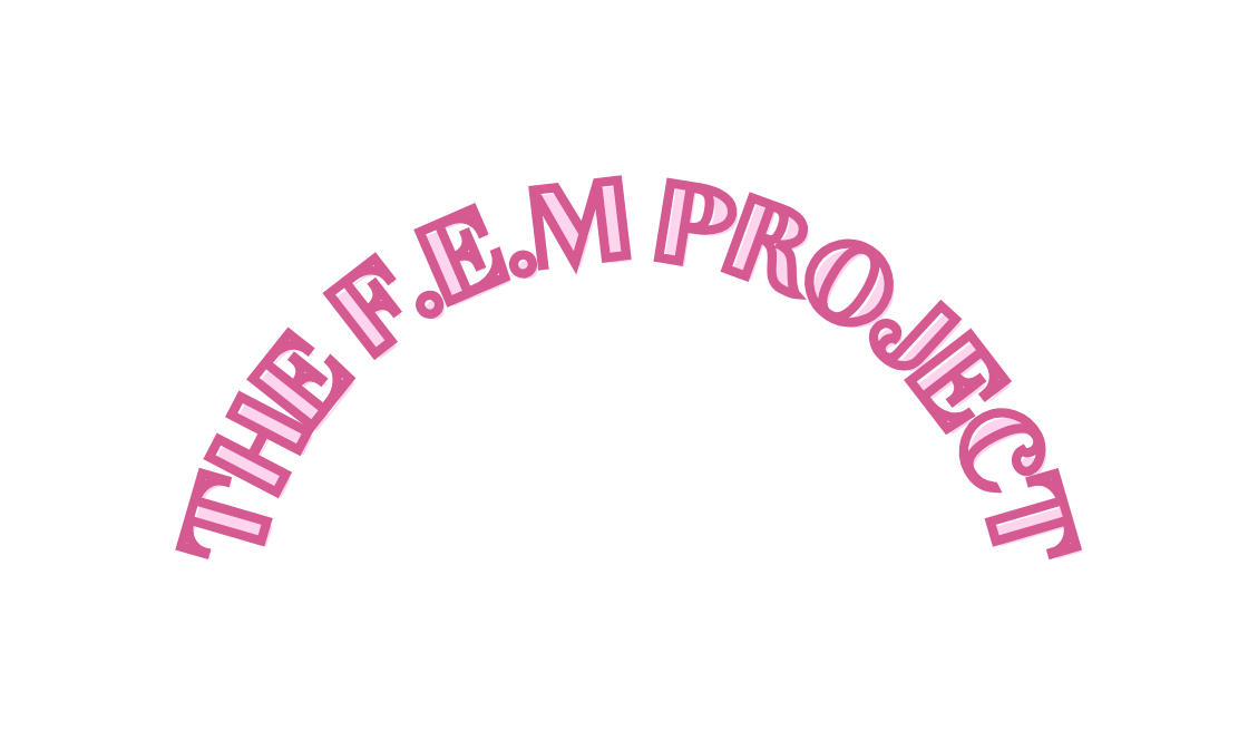 The F E M Project
